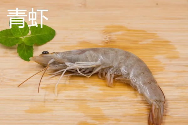 虾有哪些种类，常见的有青虾、白虾等