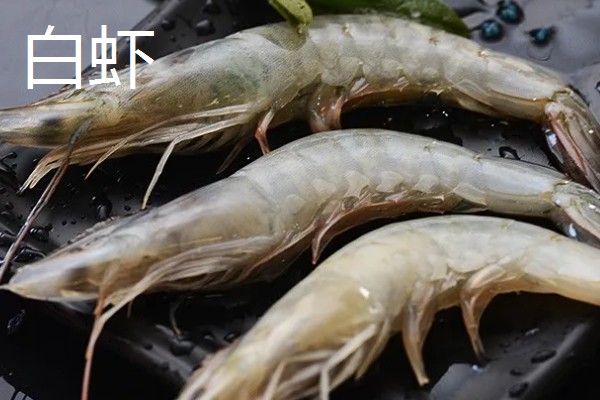 虾有哪些种类，常见的有青虾、白虾等