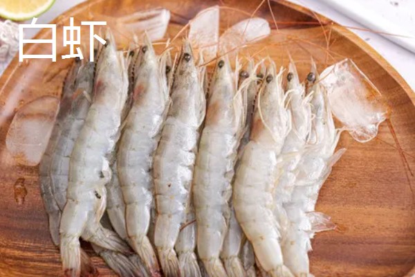 虾有哪些种类，常见的有青虾、白虾等