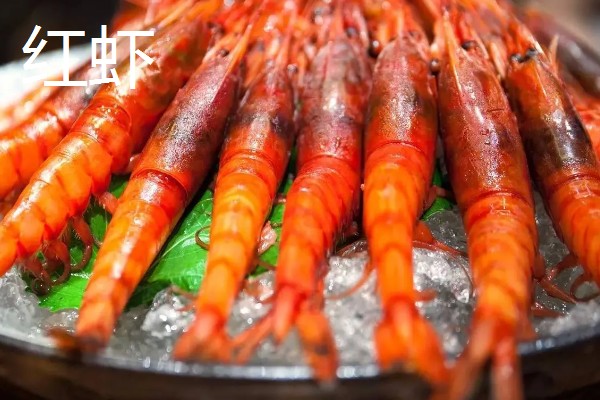 虾有哪些种类，常见的有青虾、白虾等