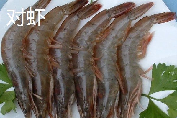 虾有哪些种类，常见的有青虾、白虾等