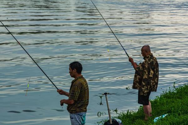 钓草鱼的技巧，常用以下几种钓法