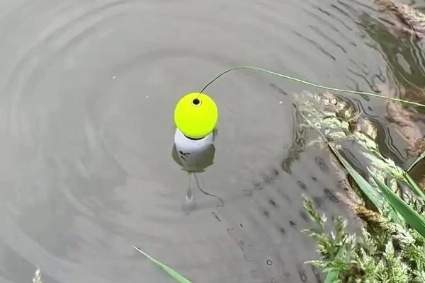 钓草鱼的技巧，常用以下几种钓法