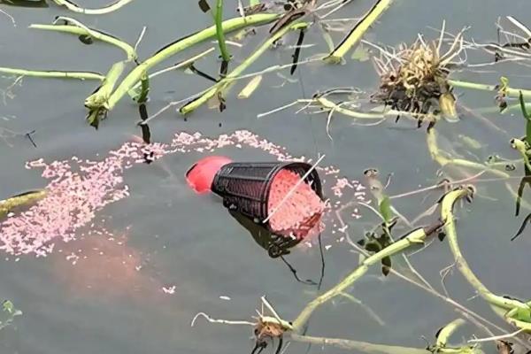 钓草鱼的技巧，常用以下几种钓法