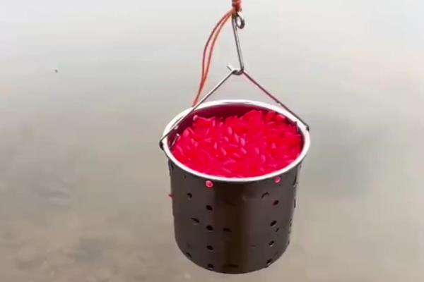 钓草鱼的技巧，常用以下几种钓法