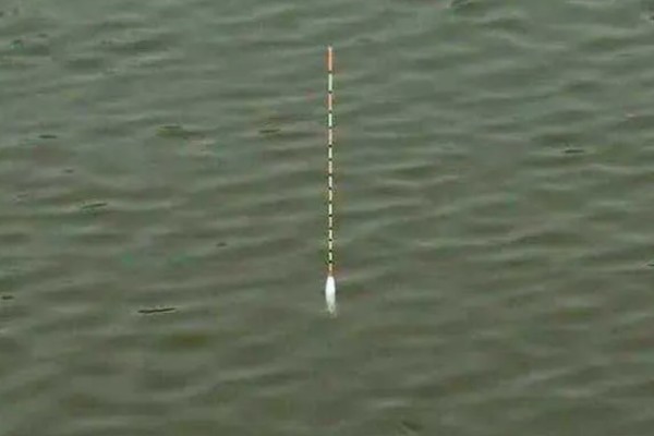 手竿怎么钓翘嘴，建议用6.3-8.1米的综合竿