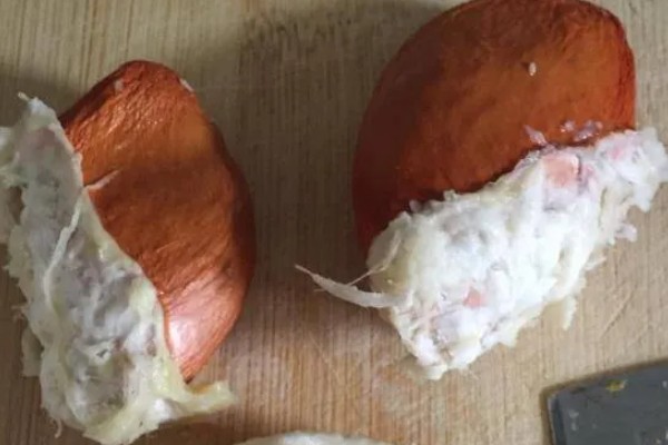 榴莲核的家庭种植方法，可用园土或是沙土种植