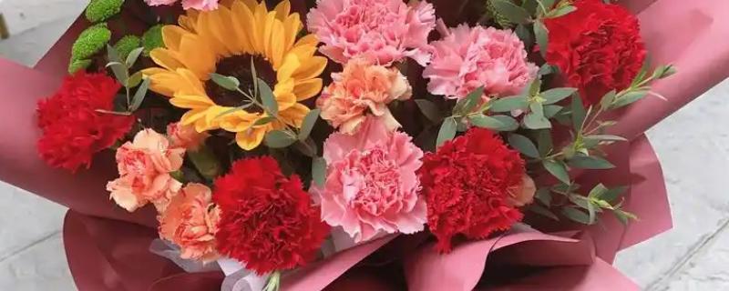 给母亲送哪些花合适，适合送康乃馨、百合花等