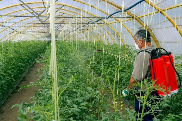 农用氨基酸的用法,施肥的间隔时间不可过长