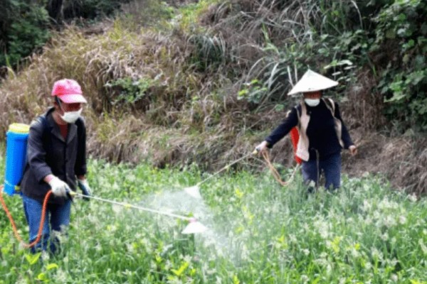 农用氨基酸的用法,施肥的间隔时间不可过长