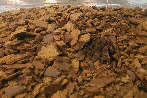 钓鱼用菜籽油饼打窝效果好吗，相对来说效果不错