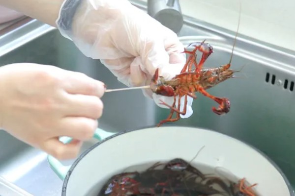 小龙虾怎么清洗，可以用盐水先浸泡