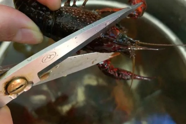 小龙虾怎么清洗，可以用盐水先浸泡