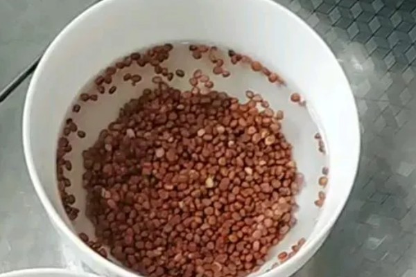 怎么种薤白,在八月份左右进行播种