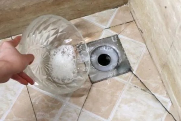 如何能彻底消灭飞蛾，可利用各种气味消灭
