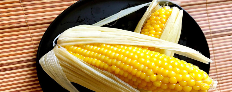珍谷404玉米品种简介,平均生育期129.2天