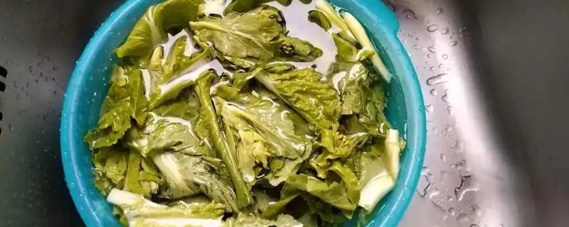 清除菜叶小虫的方法,用盐水浸泡可以让虫子与菜叶分离