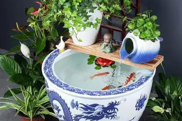 大口陶瓷缸养鱼要不要安装过滤，使用过滤器才能维持水质