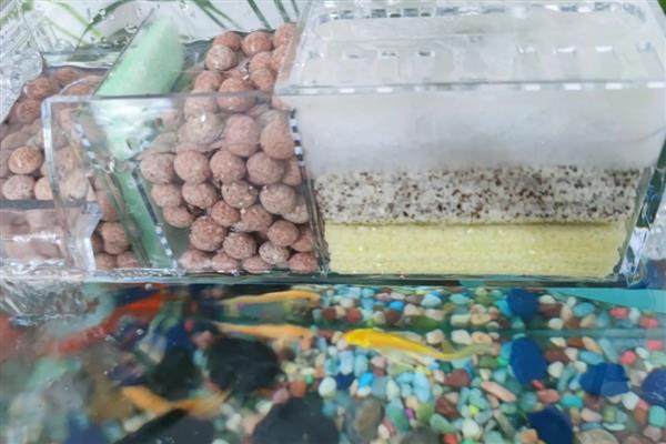 大口陶瓷缸养鱼要不要安装过滤，使用过滤器才能维持水质