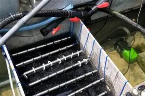 大口陶瓷缸养鱼要不要安装过滤，使用过滤器才能维持水质