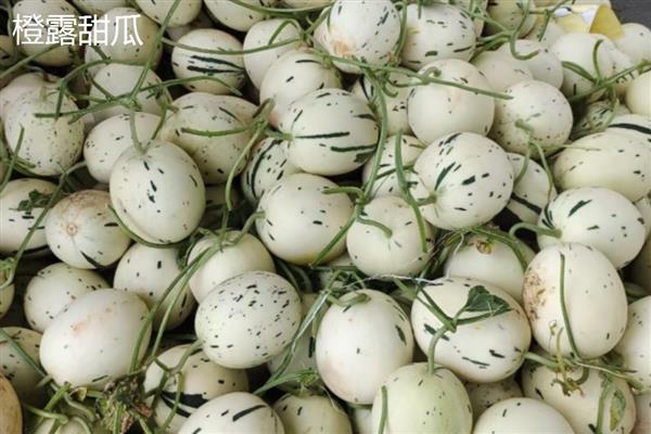 种甜瓜用什么肥料,基肥选择农家肥