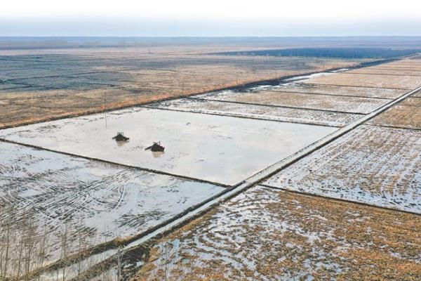碱性土壤怎么改良，灌水泡田可以排出盐分