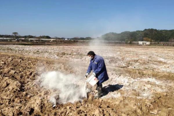 碱性土壤怎么改良，灌水泡田可以排出盐分