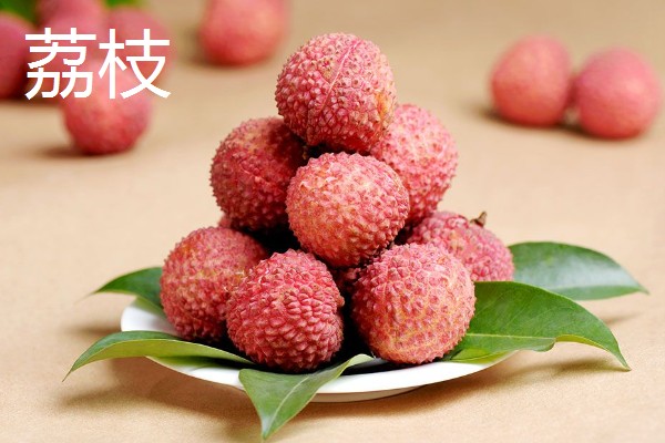 荔枝和龙眼有什么区别,果实造型、花朵外形等方面都不同