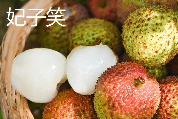 荔枝和龙眼有什么区别,果实造型、花朵外形等方面都不同