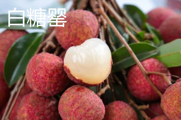 荔枝和龙眼有什么区别,果实造型、花朵外形等方面都不同