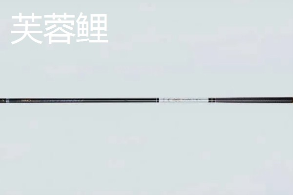 钓鱼用什么黑坑竿，一击、棍王、芙蓉鲤都是适宜选择