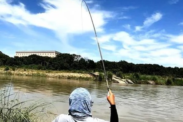 钓鱼用什么黑坑竿，一击、棍王、芙蓉鲤都是适宜选择