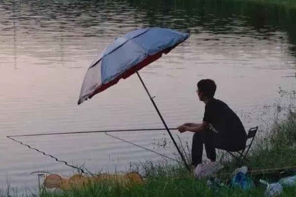 钓鱼用什么黑坑竿，一击、棍王、芙蓉鲤都是适宜选择