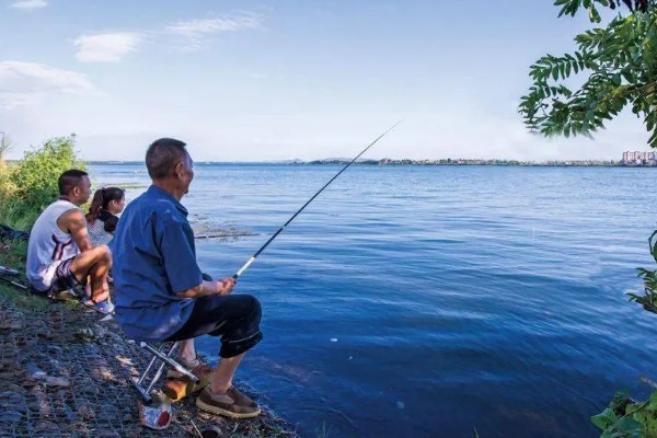 钓鱼用什么黑坑竿，一击、棍王、芙蓉鲤都是适宜选择