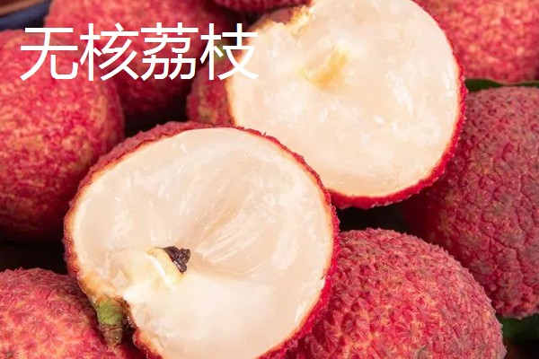 荔枝和龙眼有什么区别,果实造型、花朵外形等方面都不同