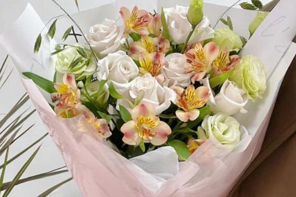 哪些花卉适合送病人，康乃馨、水仙花等品种均可选择