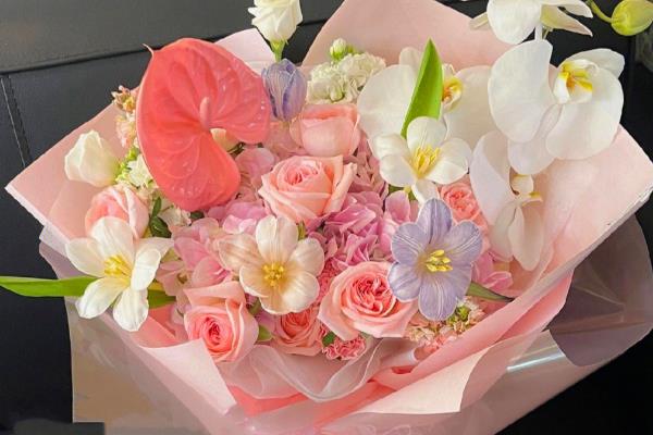 哪些花卉适合送病人，康乃馨、水仙花等品种均可选择