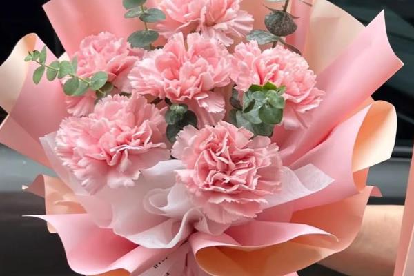 哪些花卉适合送病人，康乃馨、水仙花等品种均可选择