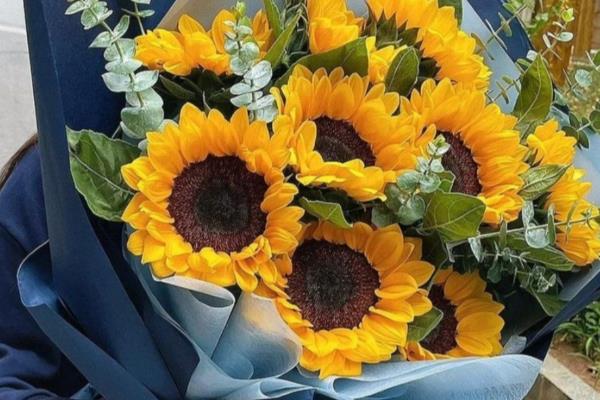 哪些花卉适合送病人，康乃馨、水仙花等品种均可选择