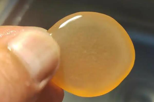 青鱼石在鱼的哪个部位,在枕骨下方咽喉部
