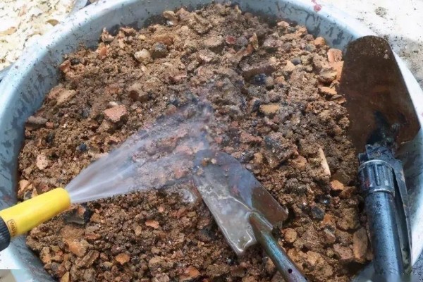 榴莲种子怎么种植,播种前需浸种催芽