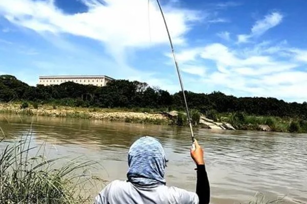 初夏钓鱼是不是钓上风口,取决于气温、鱼种、风力等因素