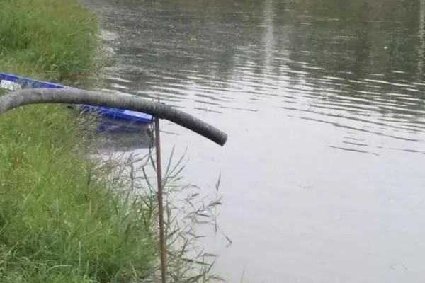 池塘水黄浊水怎么处理，用硫酸铝钾等水质改良剂改善水质