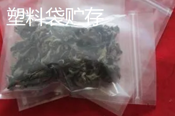 哪里产出的苦丁茶品质好，主要有贵州余庆、四川筠连等产地