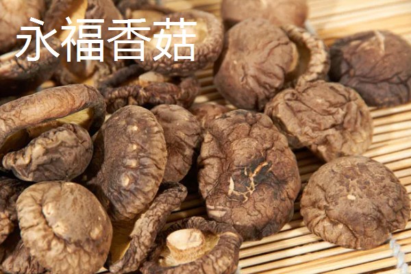 广西永福县的特产，有三皇西红柿、黄竹笋等