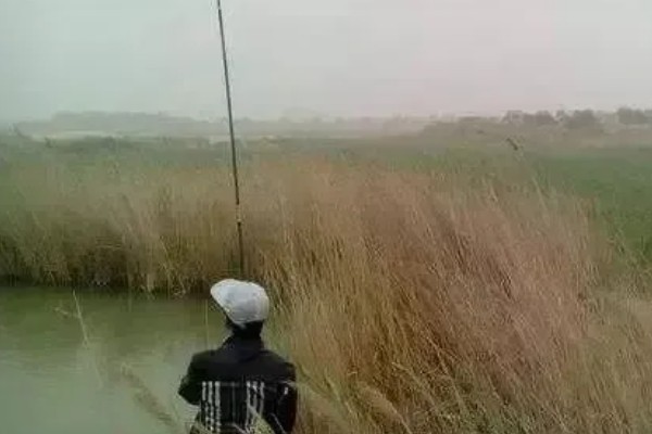 刮南风是否适合钓鱼,会导致气压降低影响鱼儿的食欲