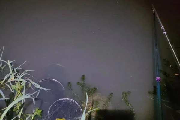 刮南风是否适合钓鱼,会导致气压降低影响鱼儿的食欲