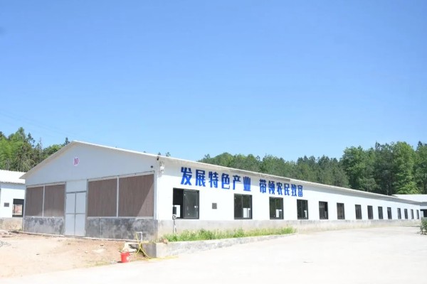 如何找公司合作养殖，可以在网上发布合作信息