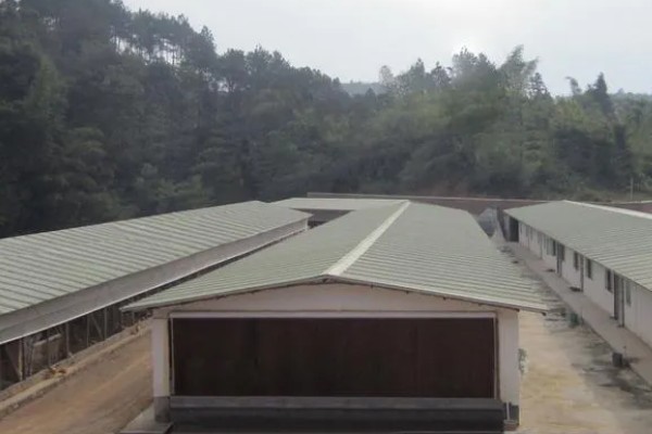 如何找公司合作养殖，可以在网上发布合作信息