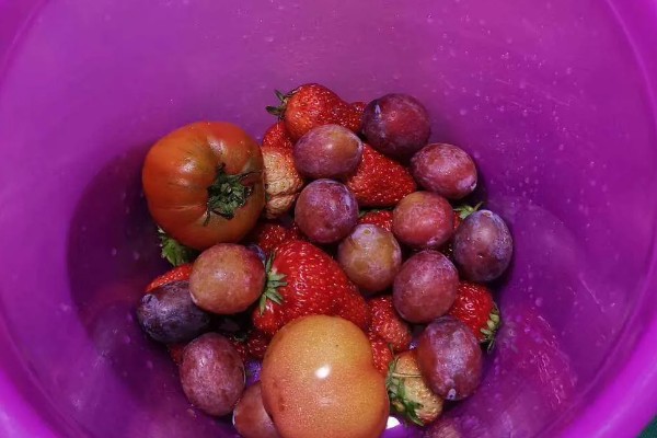 清除菜叶小虫的方法,用盐水浸泡可以让虫子与菜叶分离